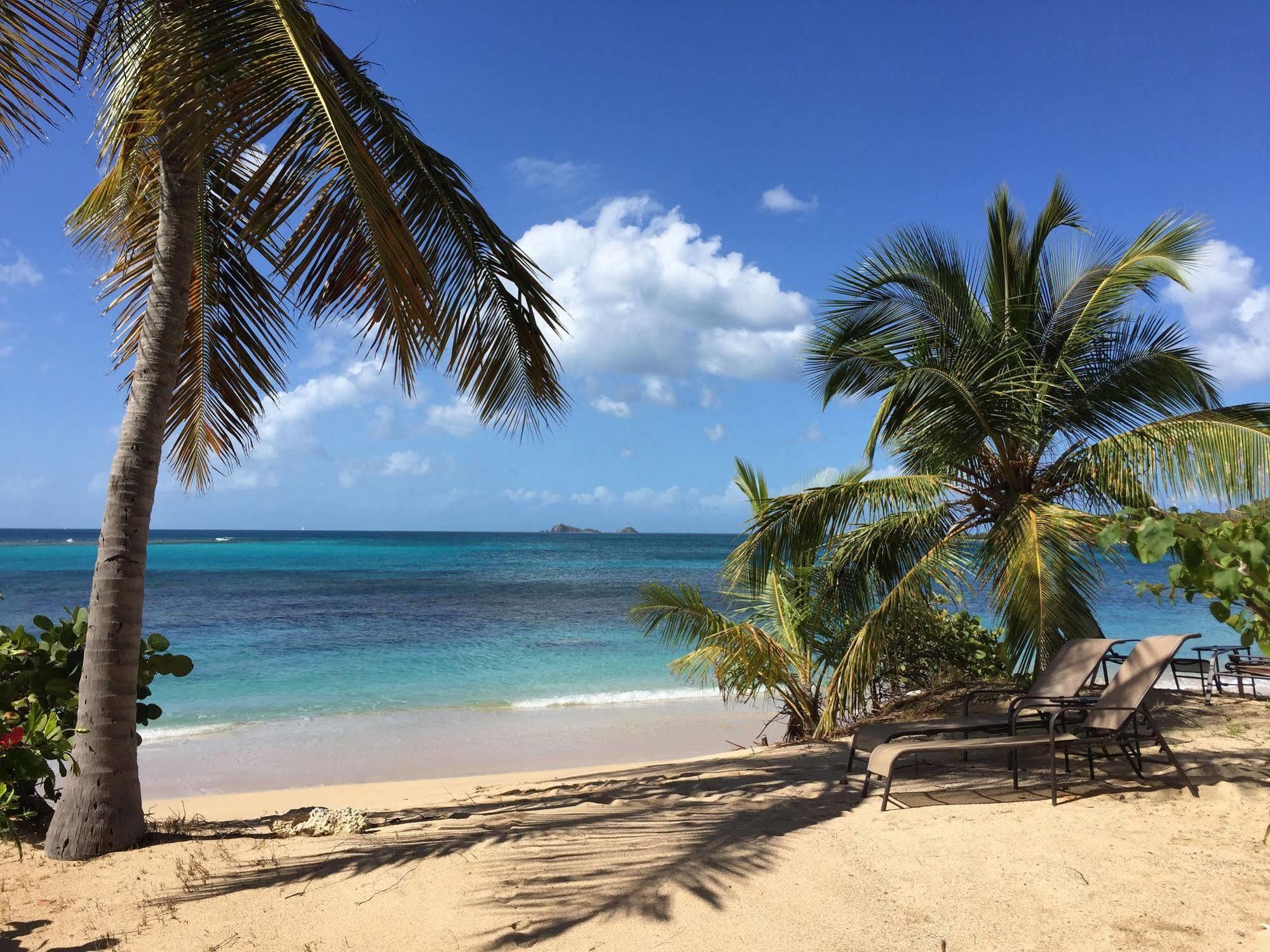 Mango Bay Resort Спаниш-Таун Экстерьер фото